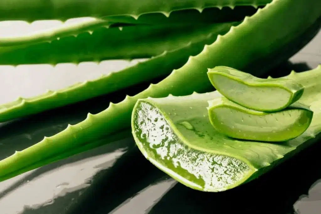 aloe vera